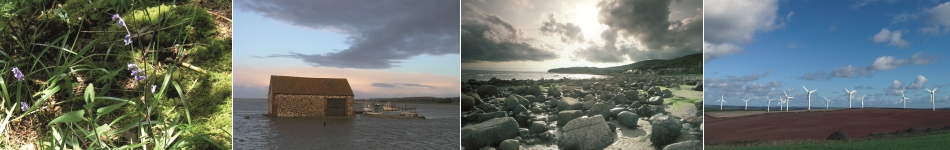 4 images showing the natural landscape